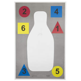 Action Target DT-ANTQ-A Anat Multi 23"x35" 100 Pack