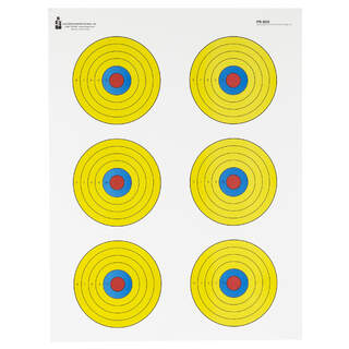 Action Target PR-BE6 Bright 6 Bullseye 17.5"x23" 100 Pack
